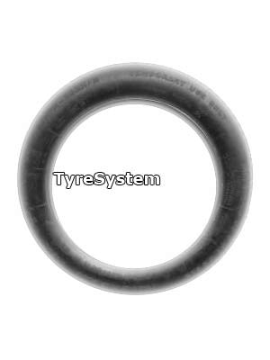 Michelin TEX LR Notrad 195/65 R22 116M