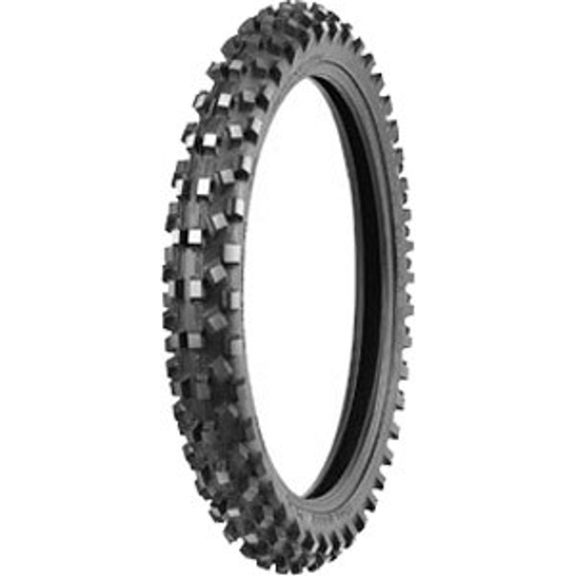 Shinko F-540 HOLES. MS 70/100-19 42M