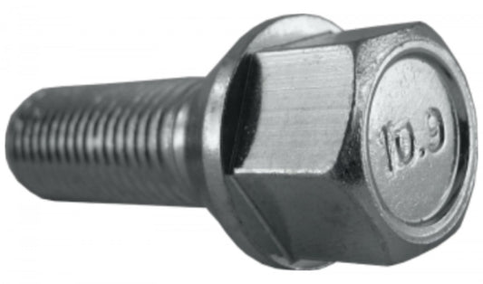 Jania Radschraube Kegelbund 60° M12x1,5x24 SW17 silber 20 Stk.