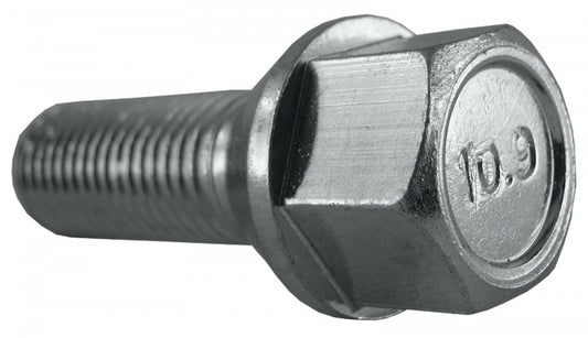 Jania Radschraube Kegelbund 60° M12x1,5x30 SW17 silber 20 Stk.