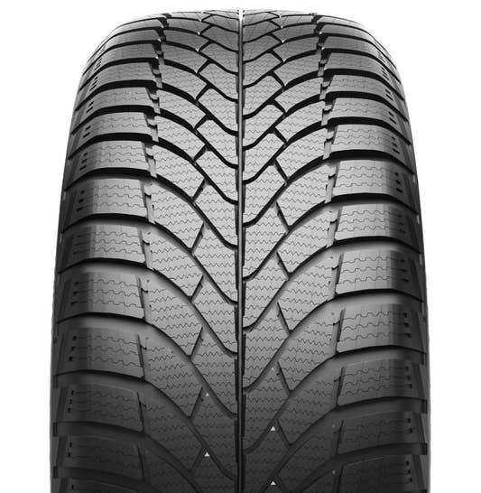 Prinx Winter Excelia 195/65 R15 91T
