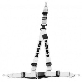 Schroth Rallye 3 asm silber mit schwarzem Flock links