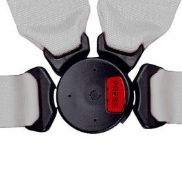 Schroth PROFI II-FE asm silber mit SCHROTH RACING Logo links mit Schraubbeschlag – Bild 4