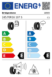Bridgestone Blizzak DM-V3 3PMSF 245/70 R16 107S