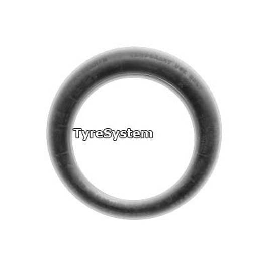 Michelin TEX LR Notrad 195/65 R22 116M