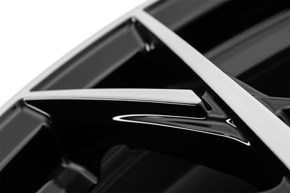 Dotz Fuji black/polished 8x19 ET30 - LK5/112 ML66.6
