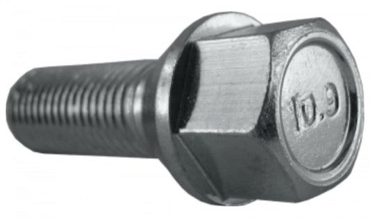Jania Radschraube Kegelbund 60° M12x1,5x28 SW17 silber 20 Stk.