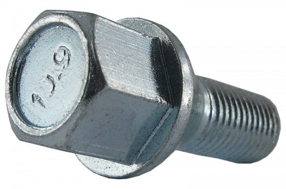 Jania Radschraube Kegelbund 60° M12x1,5x22 SW17 silber 20 Stk.