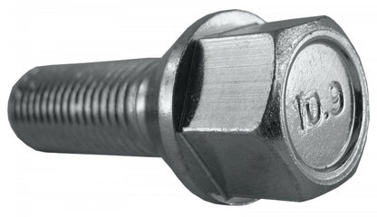 Jania Radschraube Kegelbund 60° M12x1,5x30 SW17 silber 20 Stk.