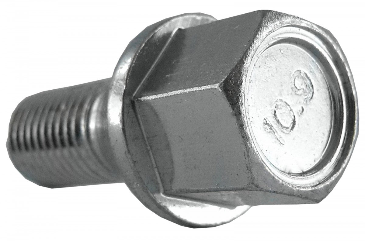 Jania Radschraube Kegelbund 60° M12x1,5x20 SW17 silber 20 Stk.