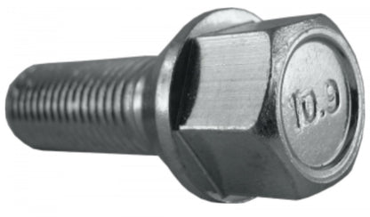 Jania Radschraube Kegelbund 60° M12x1,25x50 SW17 silber 20 Stk.