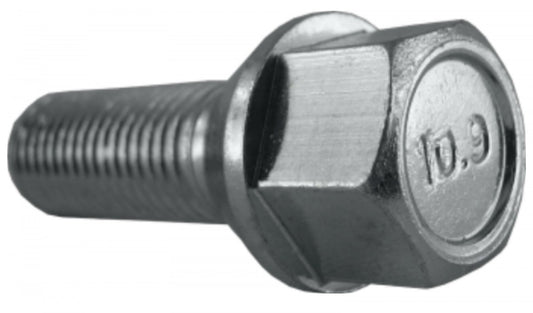 Jania Radschraube Kegelbund 60° M12x1,25x50 SW17 silber 20 Stk.