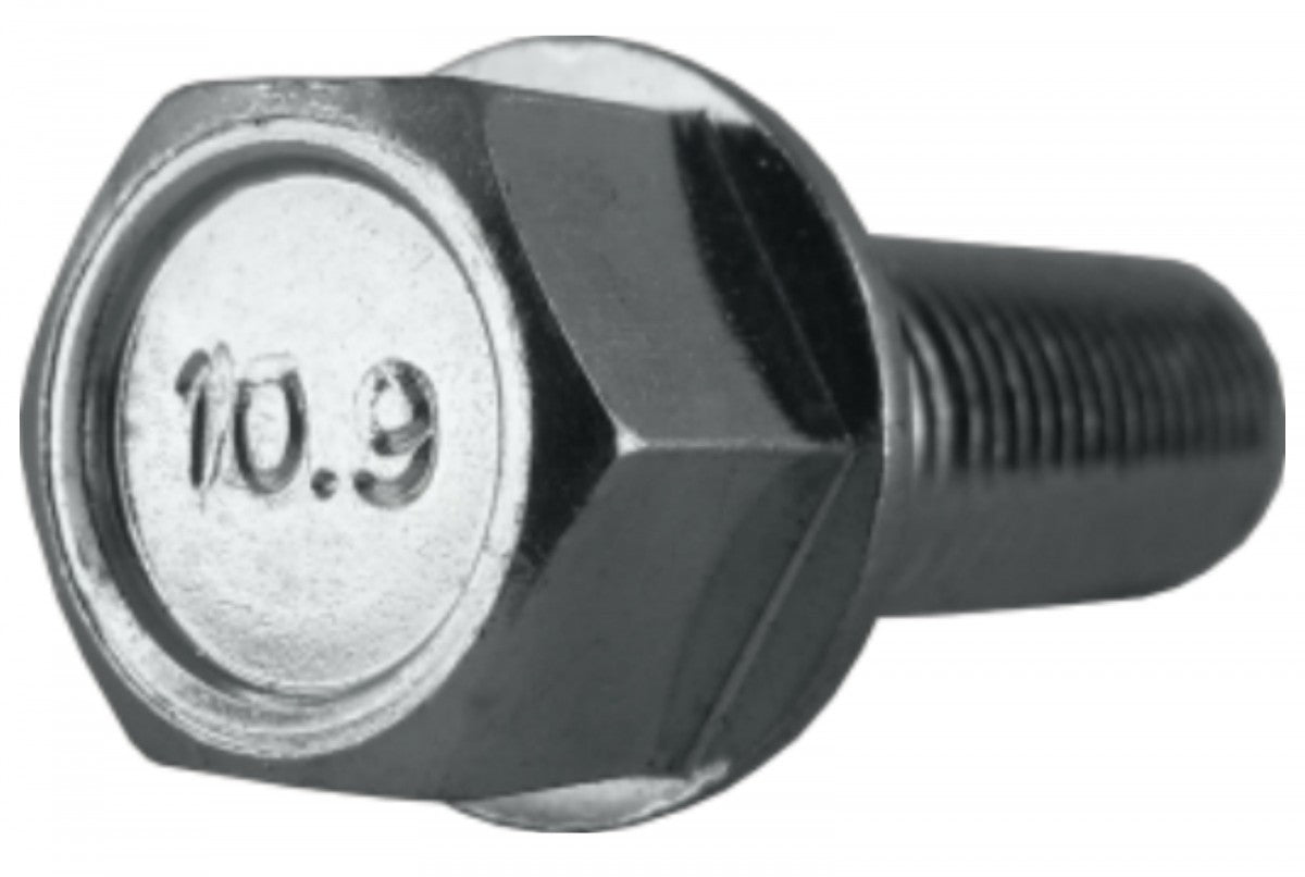 Jania Radschraube Kegelbund 60° M12x1,25x50 SW17 silber 20 Stk.