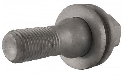 Jania Radschraube Flachbund M12x1,25x17/57 SW17 silber 20 Stk.