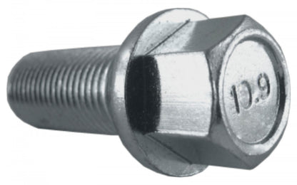 Jania Radschraube Kugelbund R12 M14x1,5x35 SW17 silber 20 Stk.