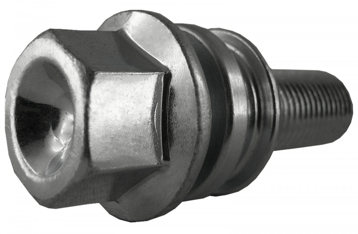 Jania Radschraube Kugelbund R14 M14x1,5x30 SW19 silber 20 Stk.