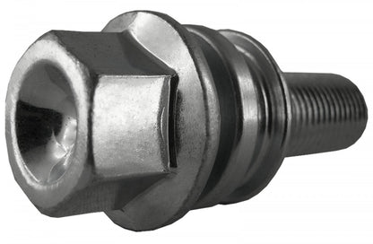 Jania Radschraube Kugelbund R14 M14x1,5x30 SW19 silber 20 Stk.
