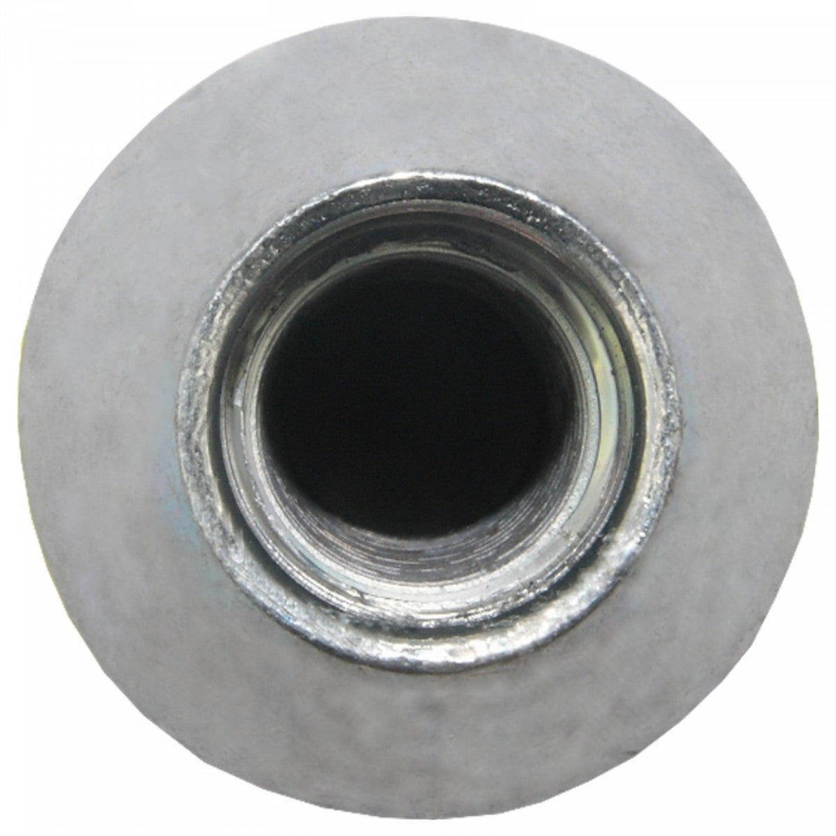 Jania Radmutter Kegelbund 60° M12x1,5x29 SW19 silber 20 Stk.