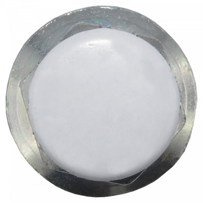 Jania Radmutter Kegelbund 60° M12x1,5x29 SW19 silber 20 Stk.