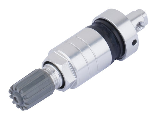 Jania RDKS-Metallventil VS-69V016RDE silber
