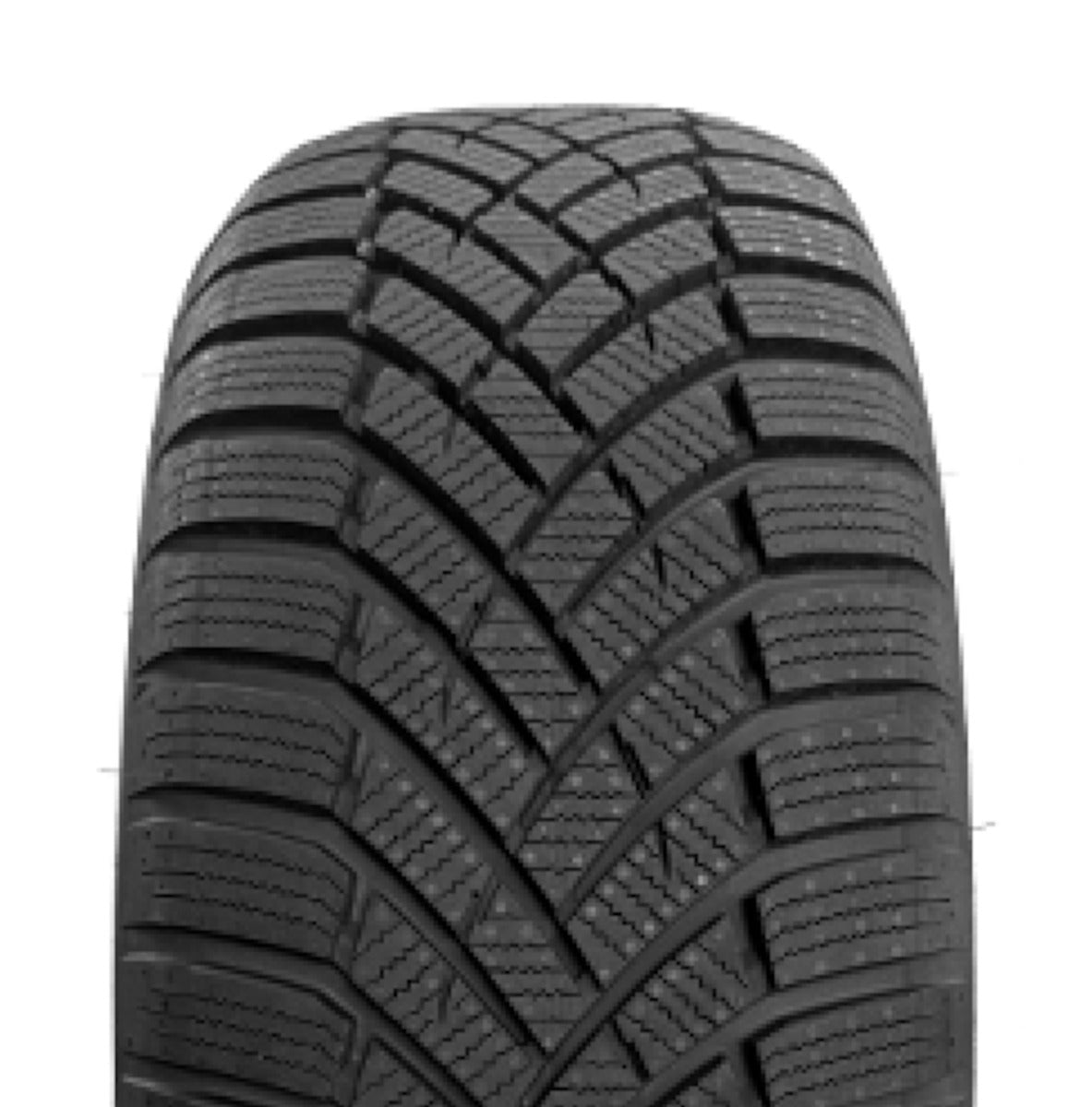 Toyo Observe EWS1 RG XL 3PMSF 245/45 R19 102V – Bild 2