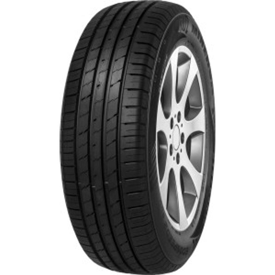 Minerva Ecospeed 2 SUV 225/60 R17 99H
