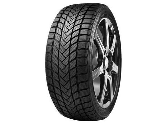 Delinte WD 6 M+S XL MFS 3PMSF 205/50 R17 93H