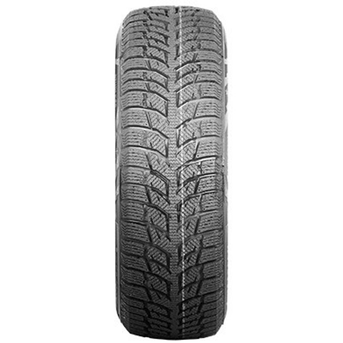 Autogreen Snow Chaser 2 AW08 205/55 R16 91H