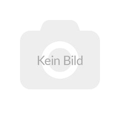 Fronway SpeedWay 88 XL 245/35 R21 96Y