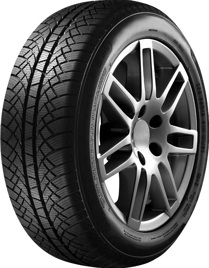 Sunny Wintermax NW611 195/65 R15 91T