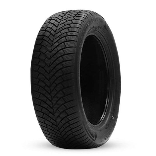 Double Coin DASP+ XL 3PMSF 205/55 R19 97V