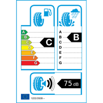 Radar Dimax R8+ M+S XL 285/30 ZR20 99Y – Bild 3