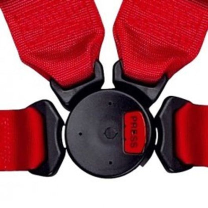 Schroth PROFI II-FE asm rot mit SCHROTH RACING Logo rechts mit Schraubbeschlag – Bild 4