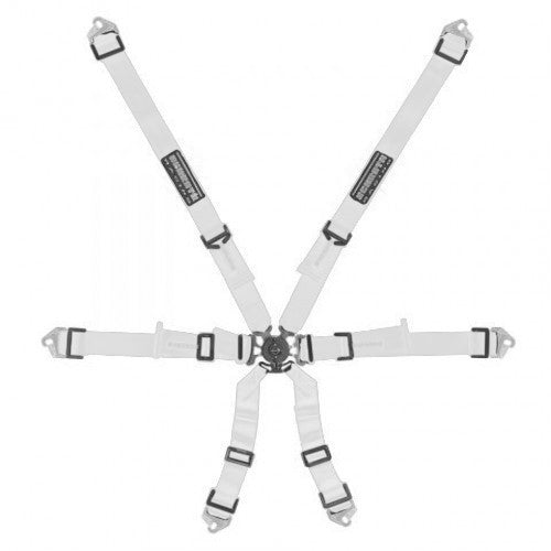 Schroth Flexi 2x2 silber mit schwarz/gelbem SCHROTH RACING Logo HANS