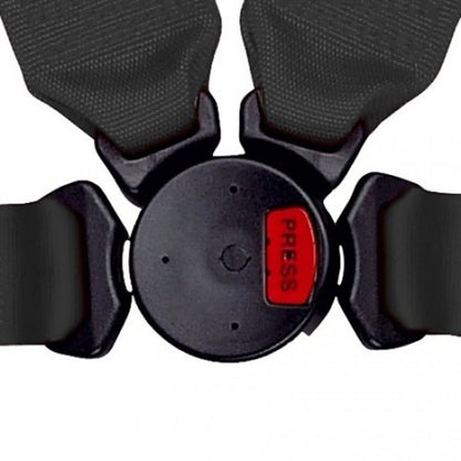 Schroth PROFI II-FE asm schwarz mit SCHROTH RACING Logo rechts mit Schraubbeschlag – Bild 4